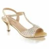 Fabulicious Shoes By Pleaser USA AUDREY-05 Shimmering Kitten Heel Prom Shoe Evening And Prom Shoes